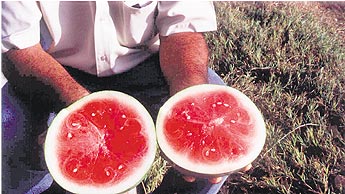 haga click para ampliar la imagen