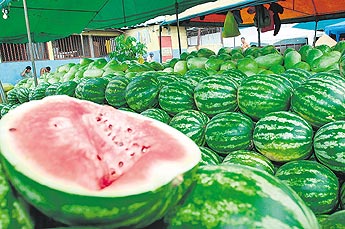 haga click para ampliar la imagen