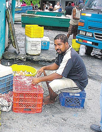 haga click para ampliar la imagen