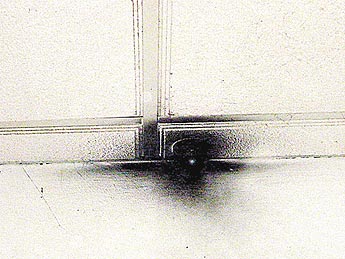 haga click para ampliar la imagen