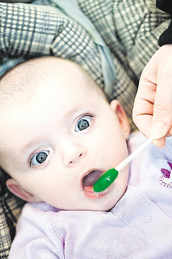 haga click para ampliar la imagen