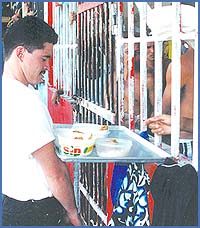 Imagen foto