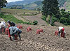 haga click para ampliar la imagen