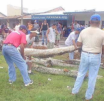 Imagen foto