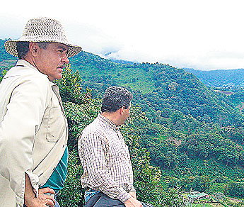 haga click para ampliar la imagen