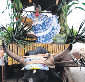 haga click para ampliar la imagen