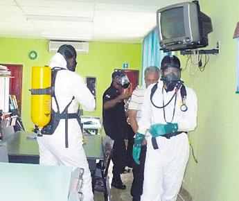 haga click para ampliar la imagen