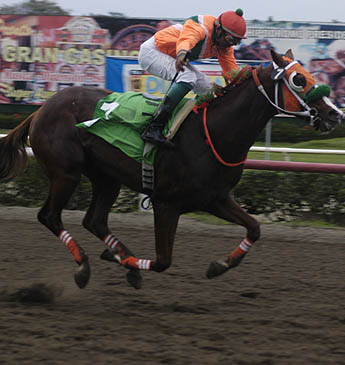 Imagen foto