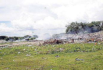 Imagen foto