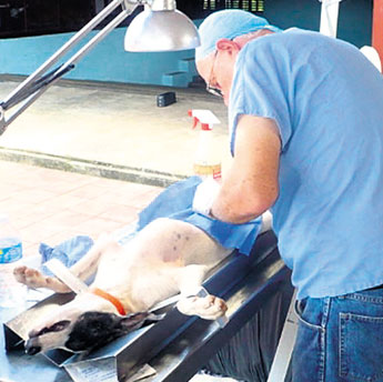haga click para ampliar la imagen