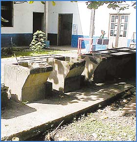 Imagen foto
