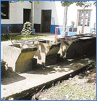 Imagen foto