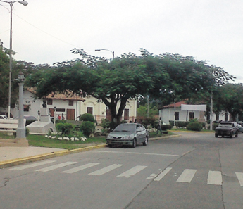 haga click para ampliar la imagen