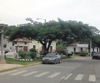 haga click para ampliar la imagen