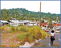 Imagen foto