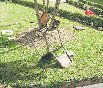 haga click para ampliar la imagen