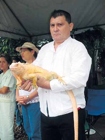 haga click para ampliar la imagen