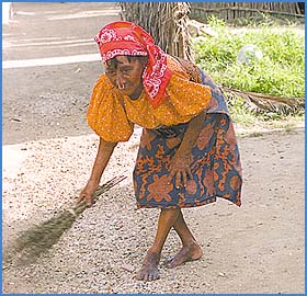 Imagen foto