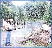 Imagen foto