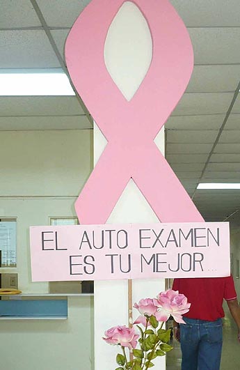 haga click para ampliar la imagen