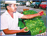 Imagen foto