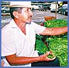 Imagen foto
