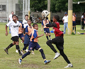 haga click para ampliar la imagen