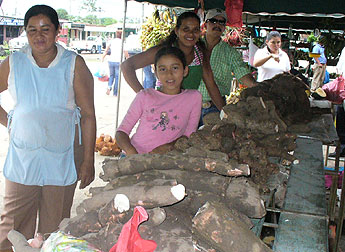 haga click para ampliar la imagen