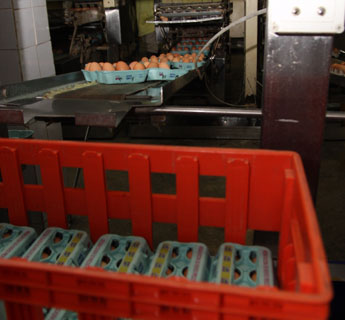 haga click para ampliar la imagen