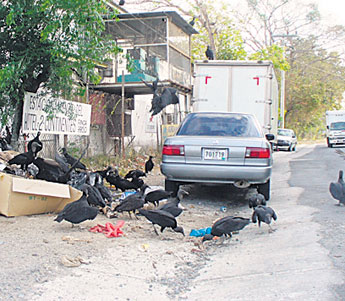 haga click para ampliar la imagen