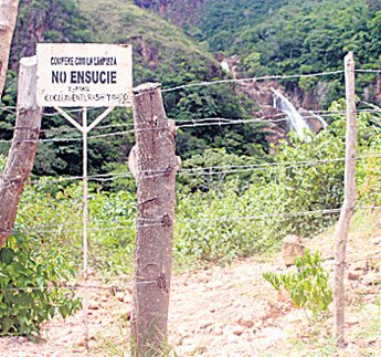 haga click para ampliar la imagen