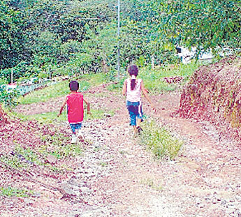 haga click para ampliar la imagen