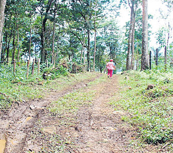 haga click para ampliar la imagen