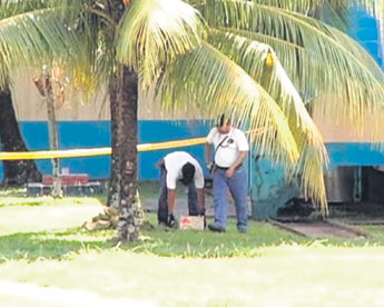 haga click para ampliar la imagen