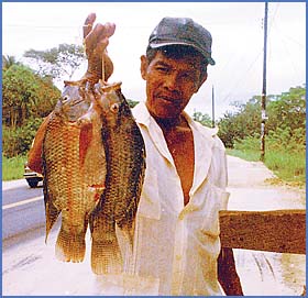 Imagen foto