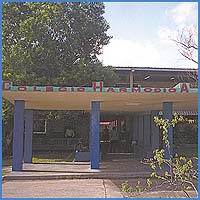 Imagen foto