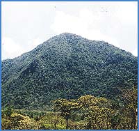 Imagen foto