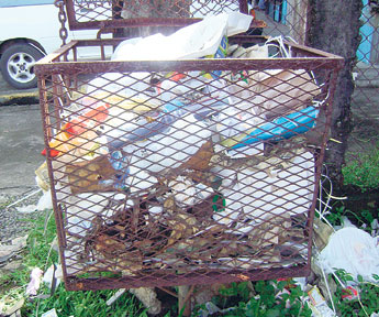 haga click para ampliar la imagen