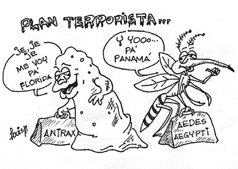 Imagen foto