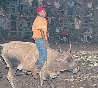 haga click para ampliar la imagen