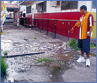 Imagen foto
