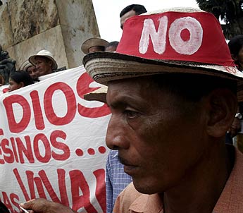 Imagen foto