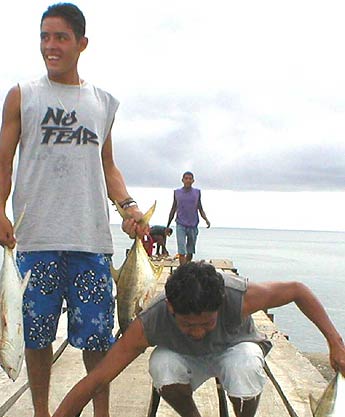 Imagen foto