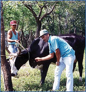 Imagen foto