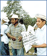 Imagen foto