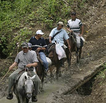 Imagen foto