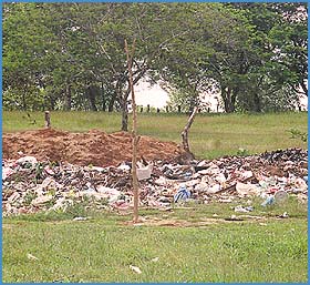 Imagen foto