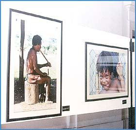 Imagen foto