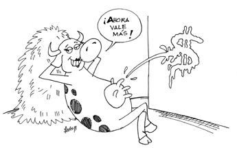 haga click para ampliar la imagen