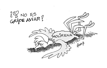 Imagen foto